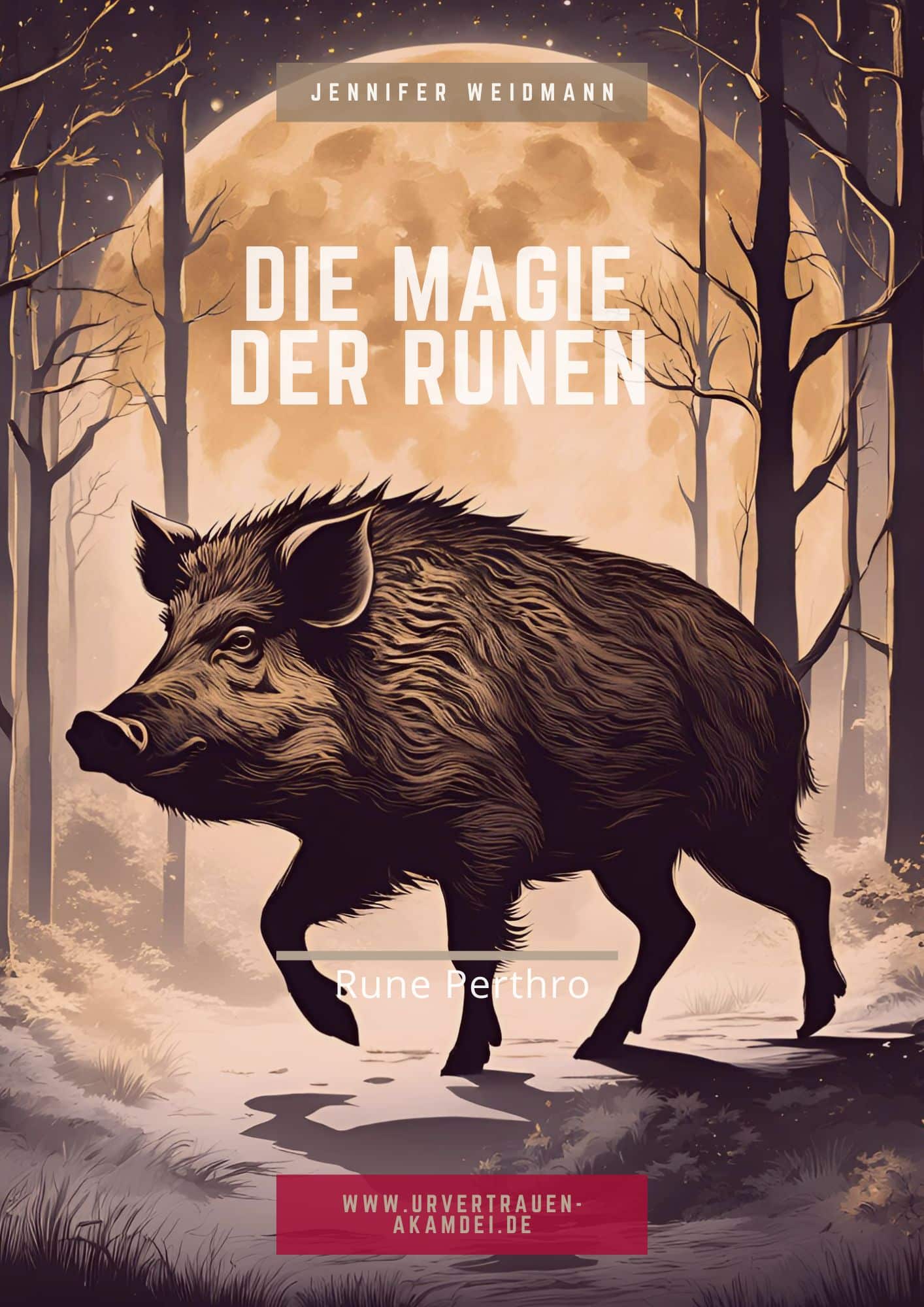 DB Rune Perthro Urvertrauen-Akademie