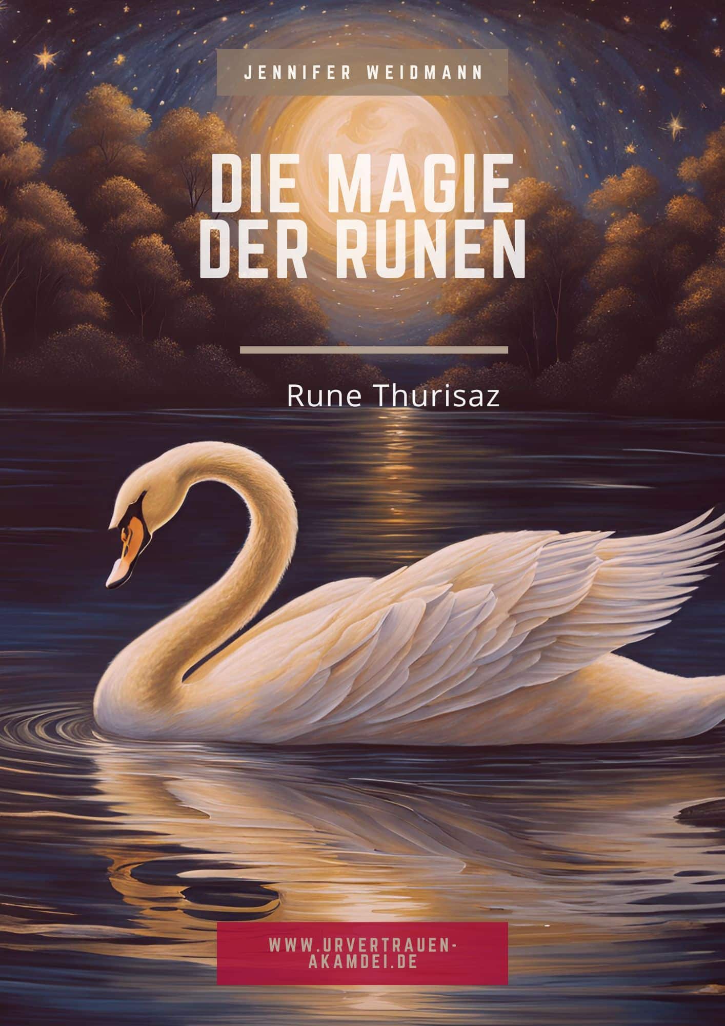 DB Rune Thurisaz Workbook Urvertrauen-Akademie