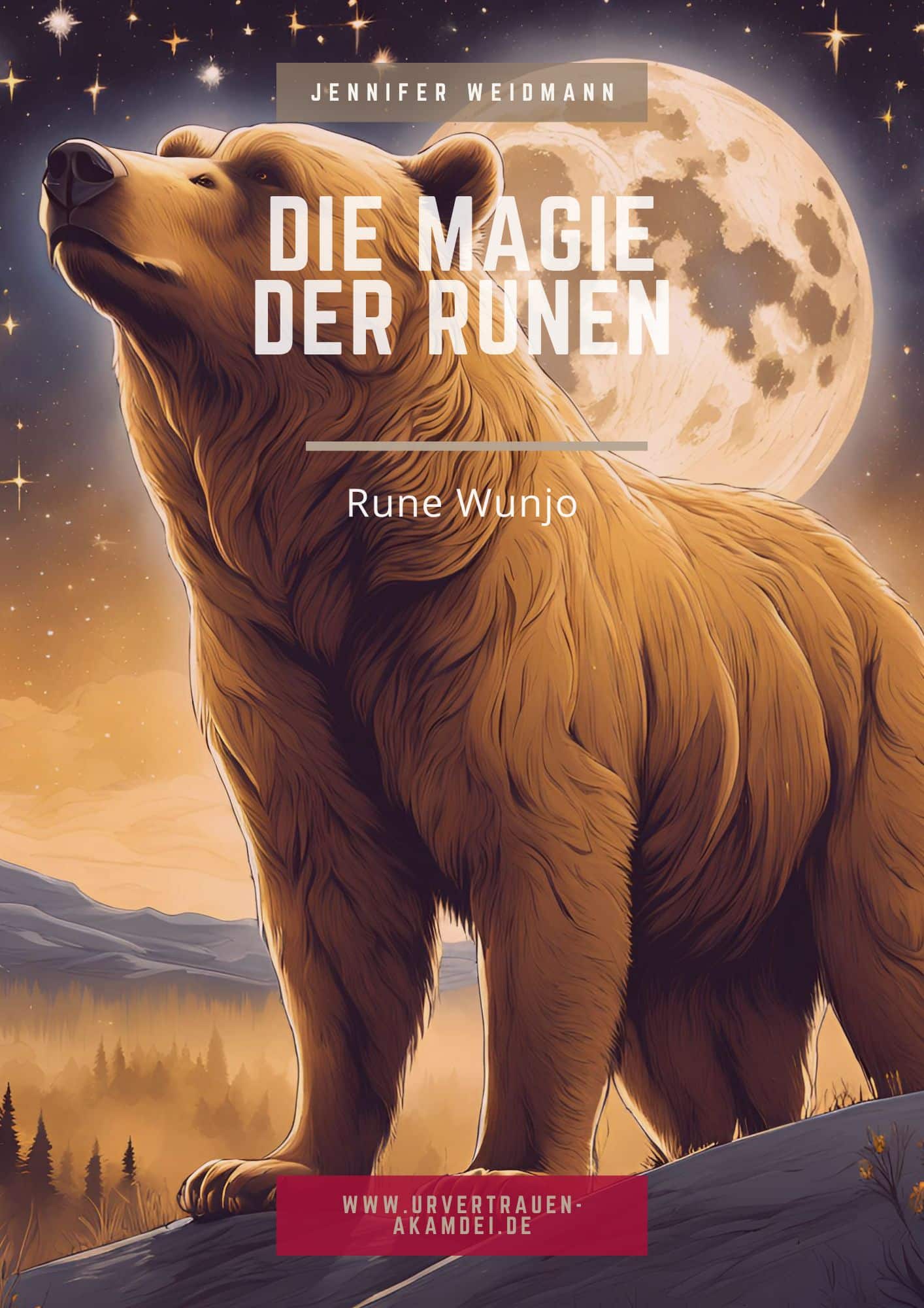 DB Wunjo Runen Magier Urvertrauen Akademie